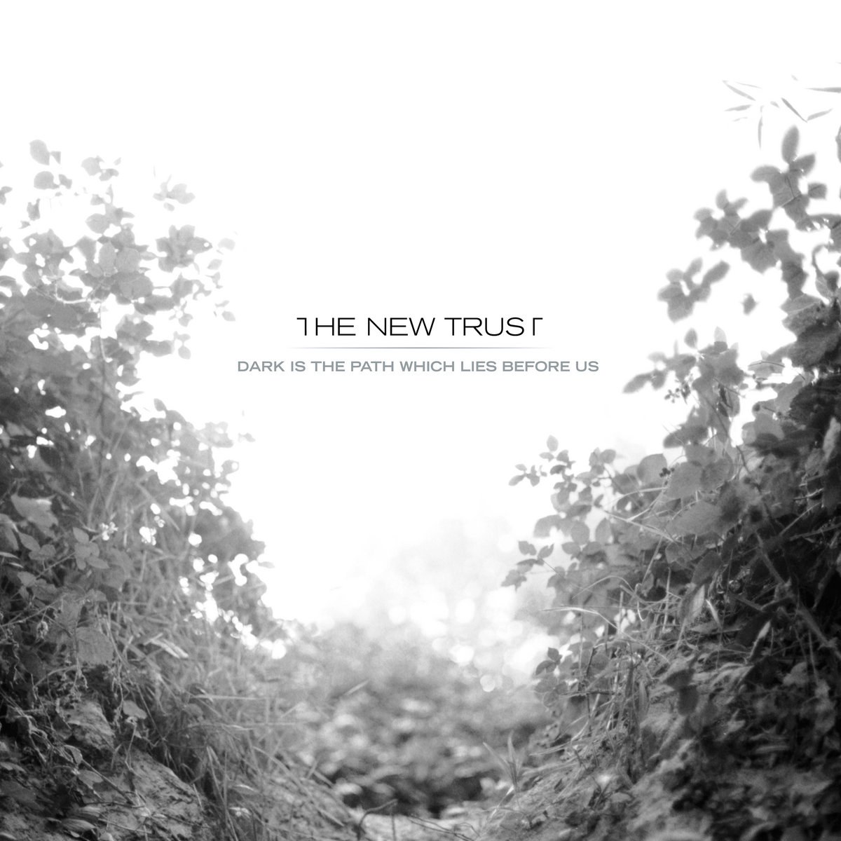 Wake Up, It's The Nineties | The New Trust