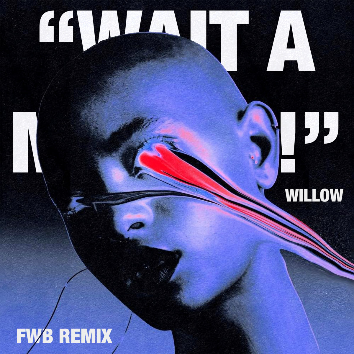 WILLOW - Wait A Minute! (FWB Remix) | DJ FWB