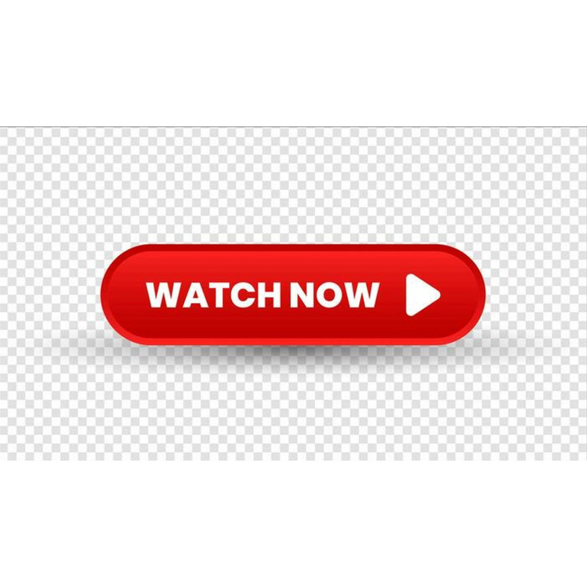 afc-south-korea-vs-palestine-live-asia-world-cup-qualifiers-5