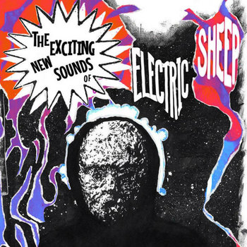 洋楽 Signalrunners - Electric Sheep 12\" VINYL Signalrunners Electric Sheep 12