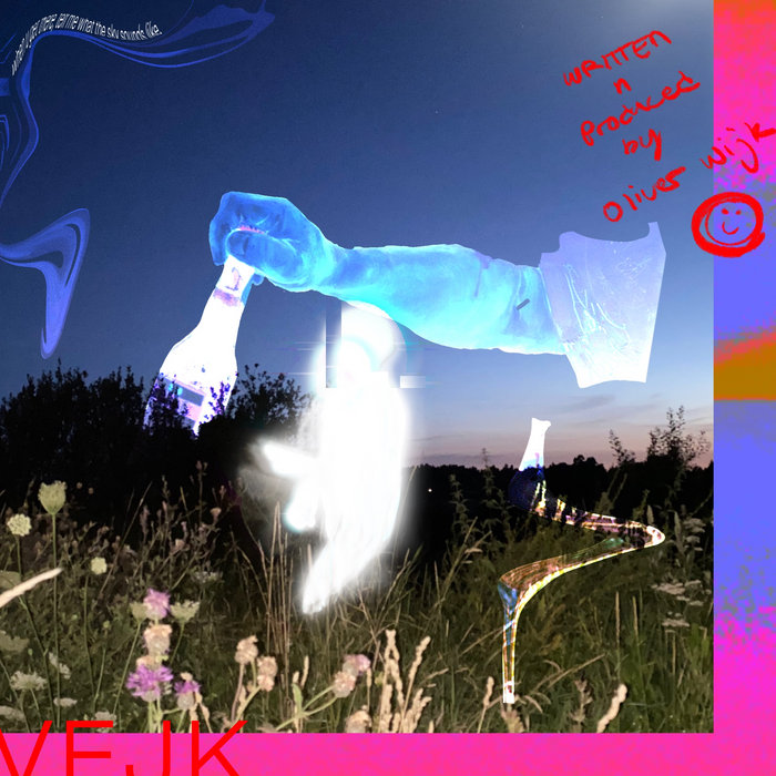 vejk | In This Life