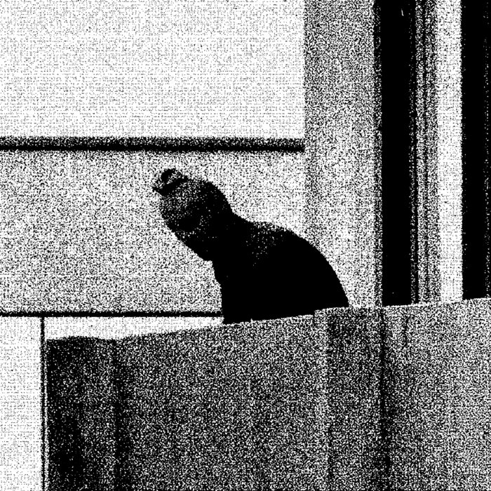 DEPARTMENT OF EDUCATION DEPARTMENT OF EDUCATION