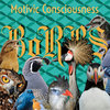 Motivic Consciousness