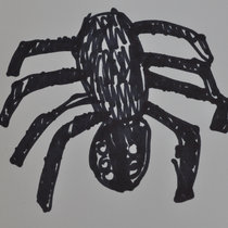 spider cover art