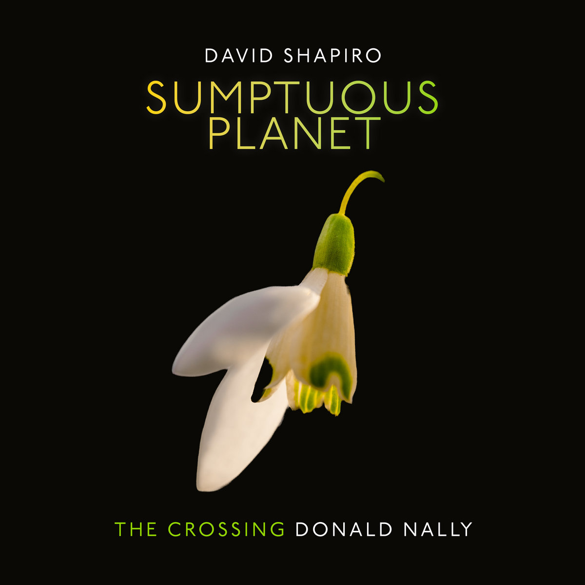 Sumptuous Planet: A Secular Mass | The Crossing & David Shapiro