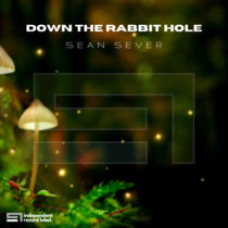 Down The Rabbit Hole cover art