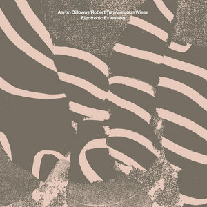 Electronic ExtensionAaron Dilloway/Robert Turman/John Wiese cover