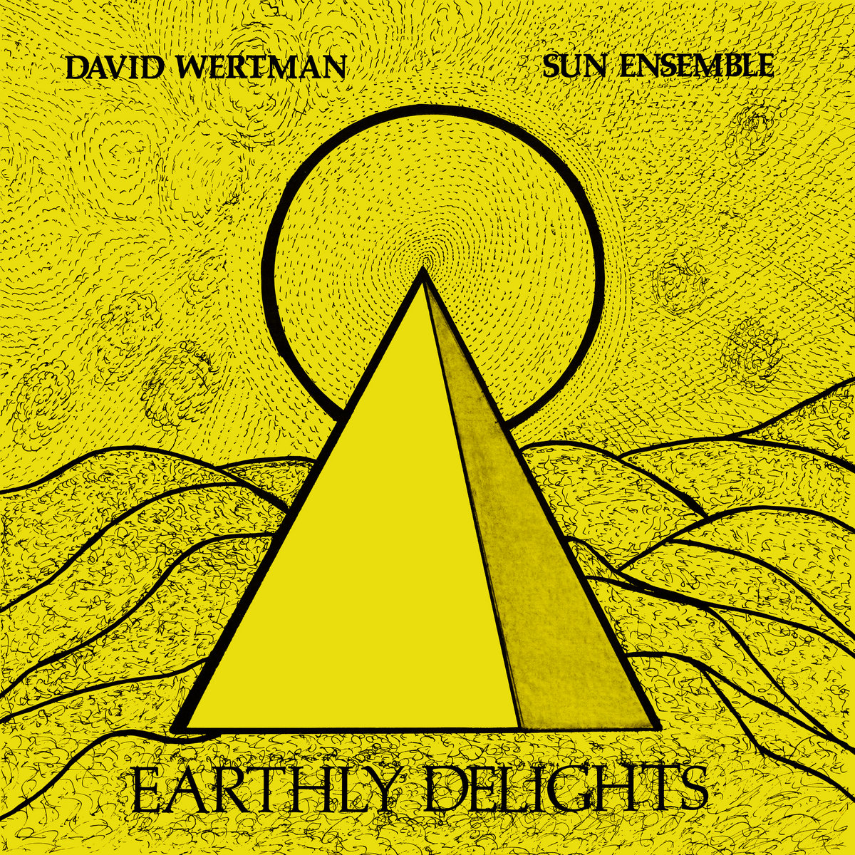 【オープニングセール】 Ensemble Sun & Wertman David - Wertman David | Delights Earthly その他
