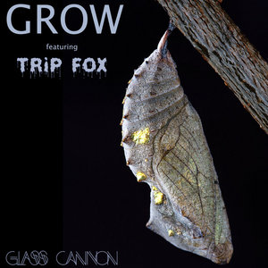 Grow ft. Trip Fox cover