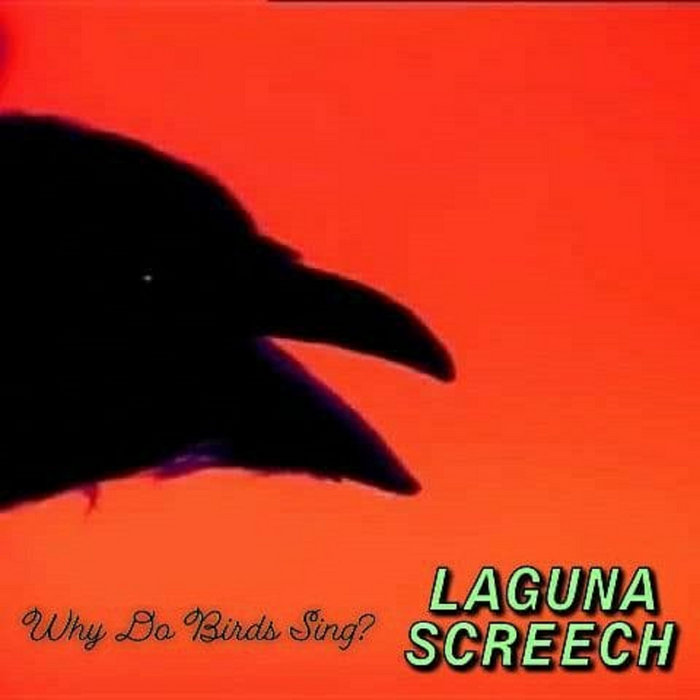 Why Do Birds Sing? Laguna Screech