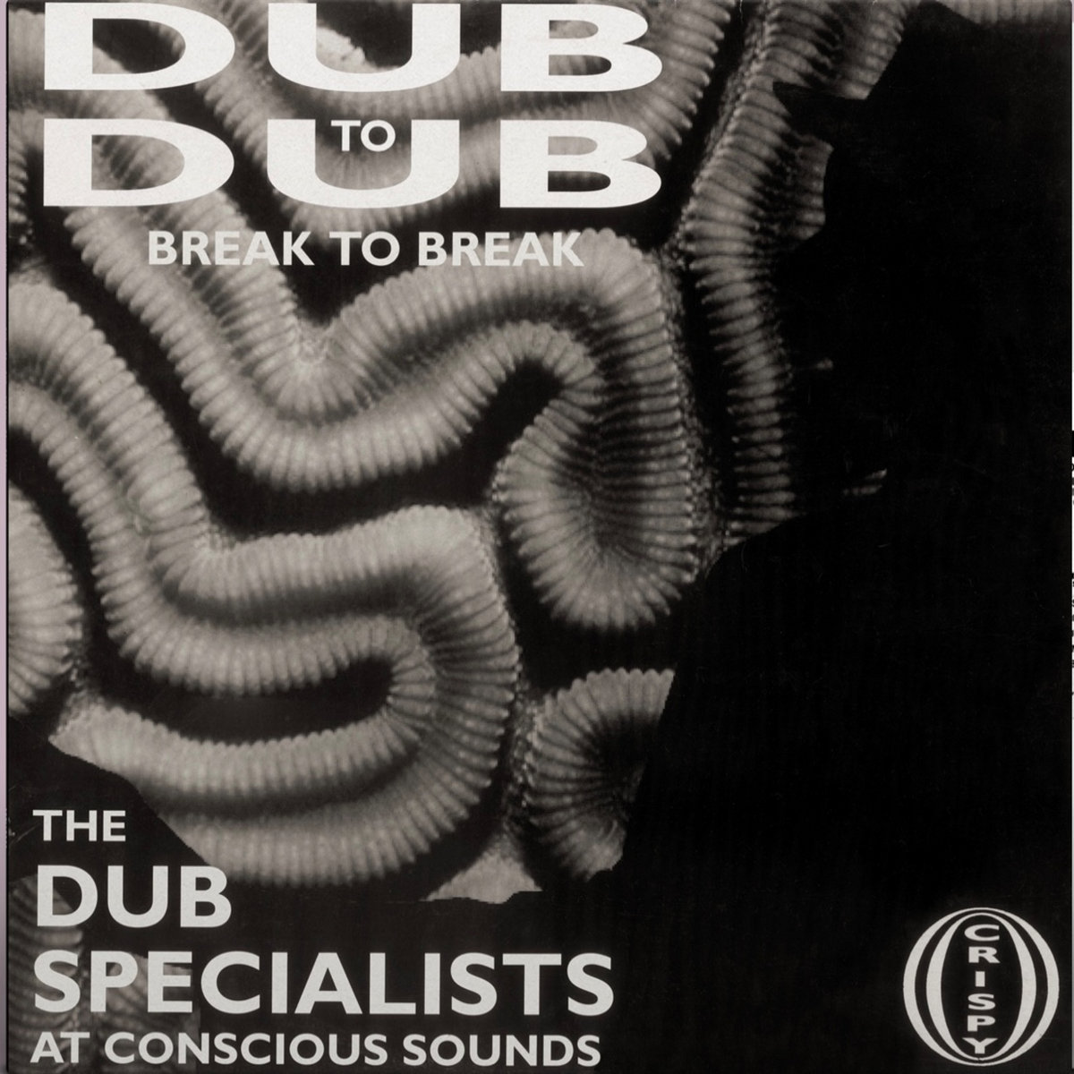 Dub to Dub Break to Break | Dub Specialists | Partial Records