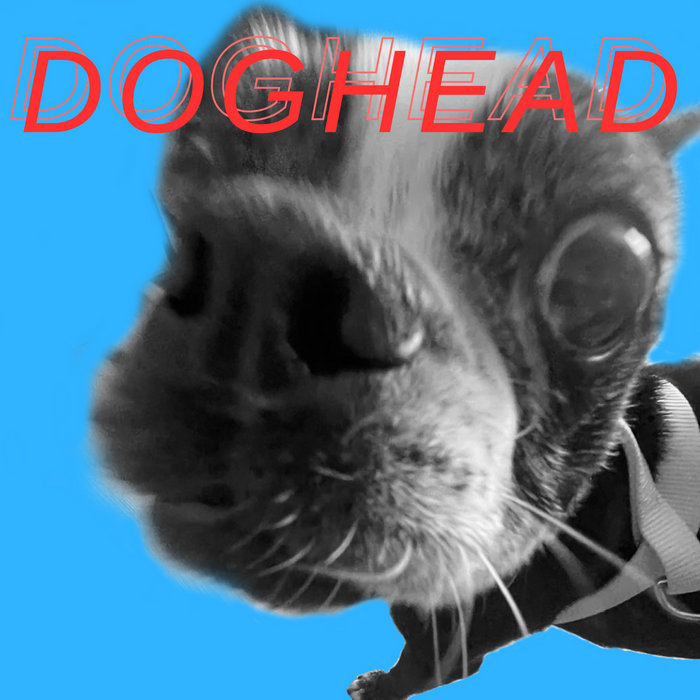Silver | Doghead Silver | Doghead