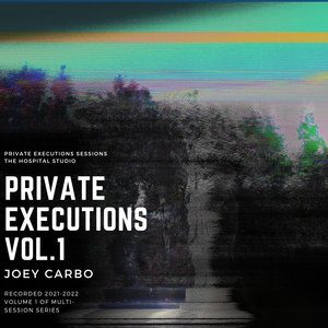PRIVATE EXECUTIONS VOL. 1 (2023) cover