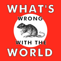 What's Wrong The World cover art
