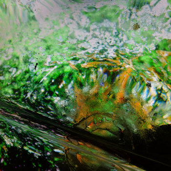 Music | Contact Field Orchestra