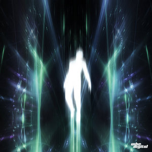 NITEWALK cover