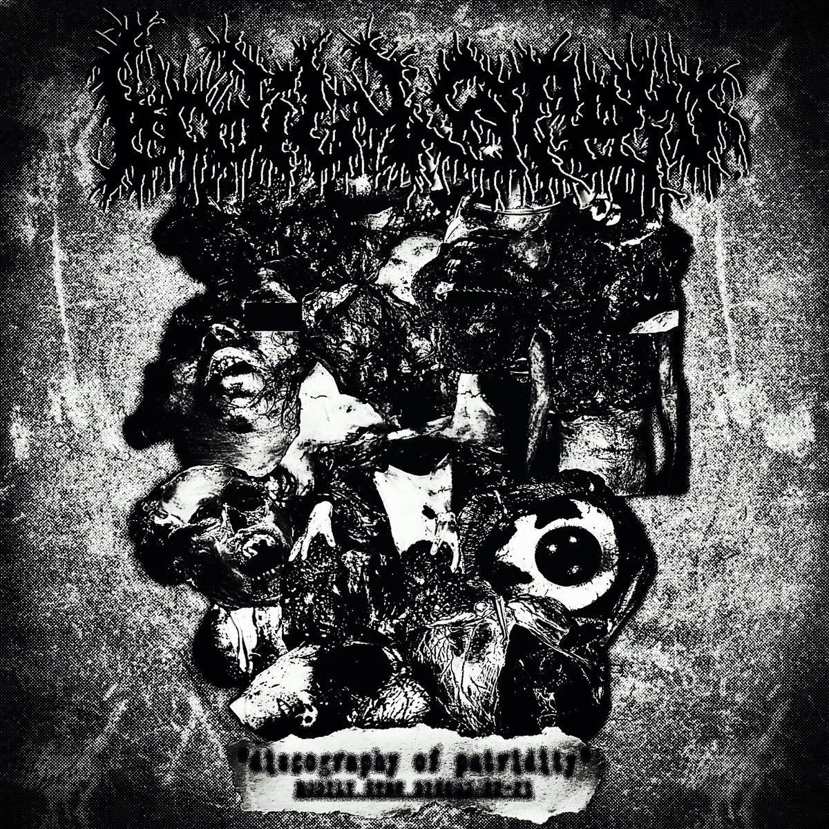 DISCOGRAPHY OF PUTRIDITY (20222023) BODILY STEW Vile Tapes Records