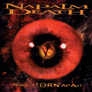 Inside the Torn Apart cover