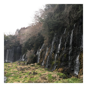 theorem[split with Whore's Breath] cover