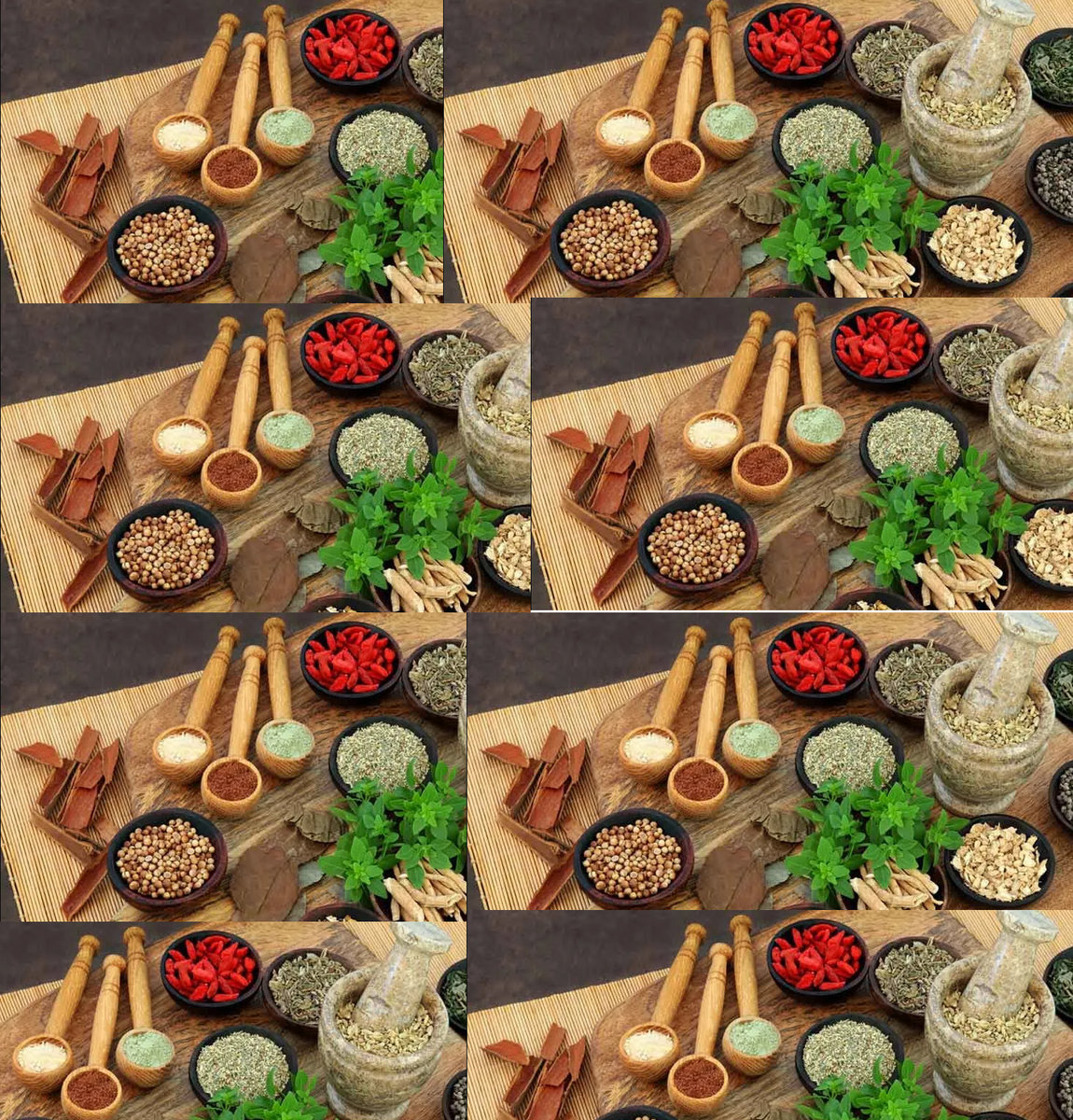 Ayurveda Podcast Steven L