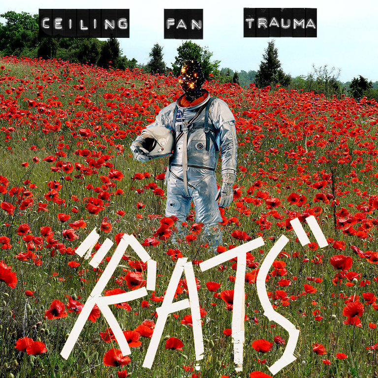 Rats Ceiling Fan Trauma