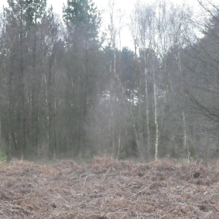 pale into significance sevenism