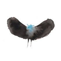 HAYWARDxDÄLEK - HAYWARDxDÄLEK