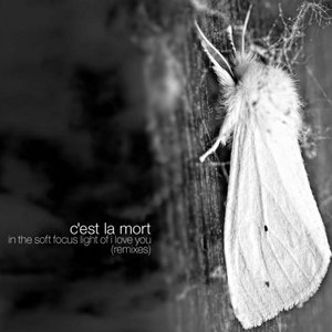 In the Soft Focus Light of I Love You (Remixes) cover