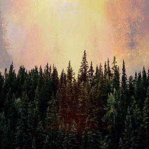Evergreen Redux cover