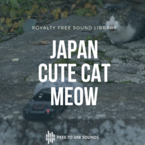 Japanese Cats Meow Sound Effects Library cover art
