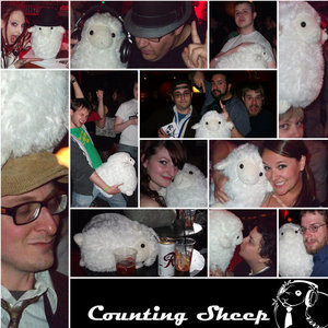Counting Sheep cover