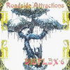 Disflex6 - Roadside Attractions Cover Art
