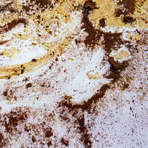 Mutation Variation 02 cover art