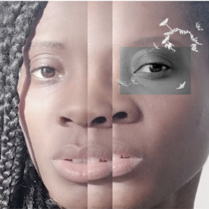 Ada Lyn Moving Matter Ada Lyn