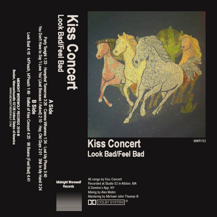 kiss concert