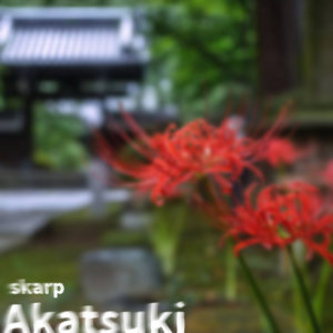 Akatsuki cover
