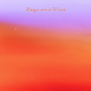 Days on a Wire cover
