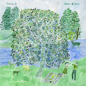 Dreams of Green cover