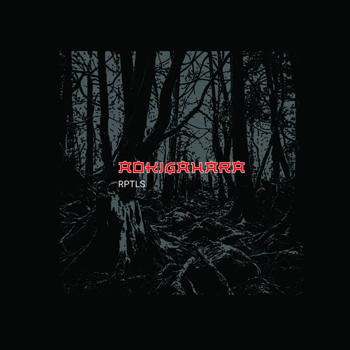 Pochette de [Koryu 012​]​ RPTLS "Aokigahara" par RPTLS