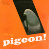 pigeon!