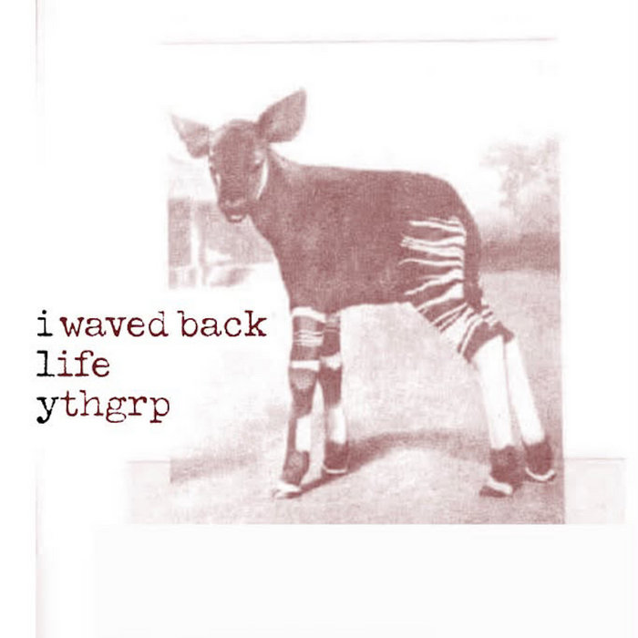 i waved back, life, ythgrp - I.L.Y