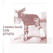 i waved back, life, ythgrp - I.L.Y