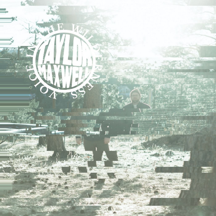 Voice In The Wilderness Taylor Maxwell