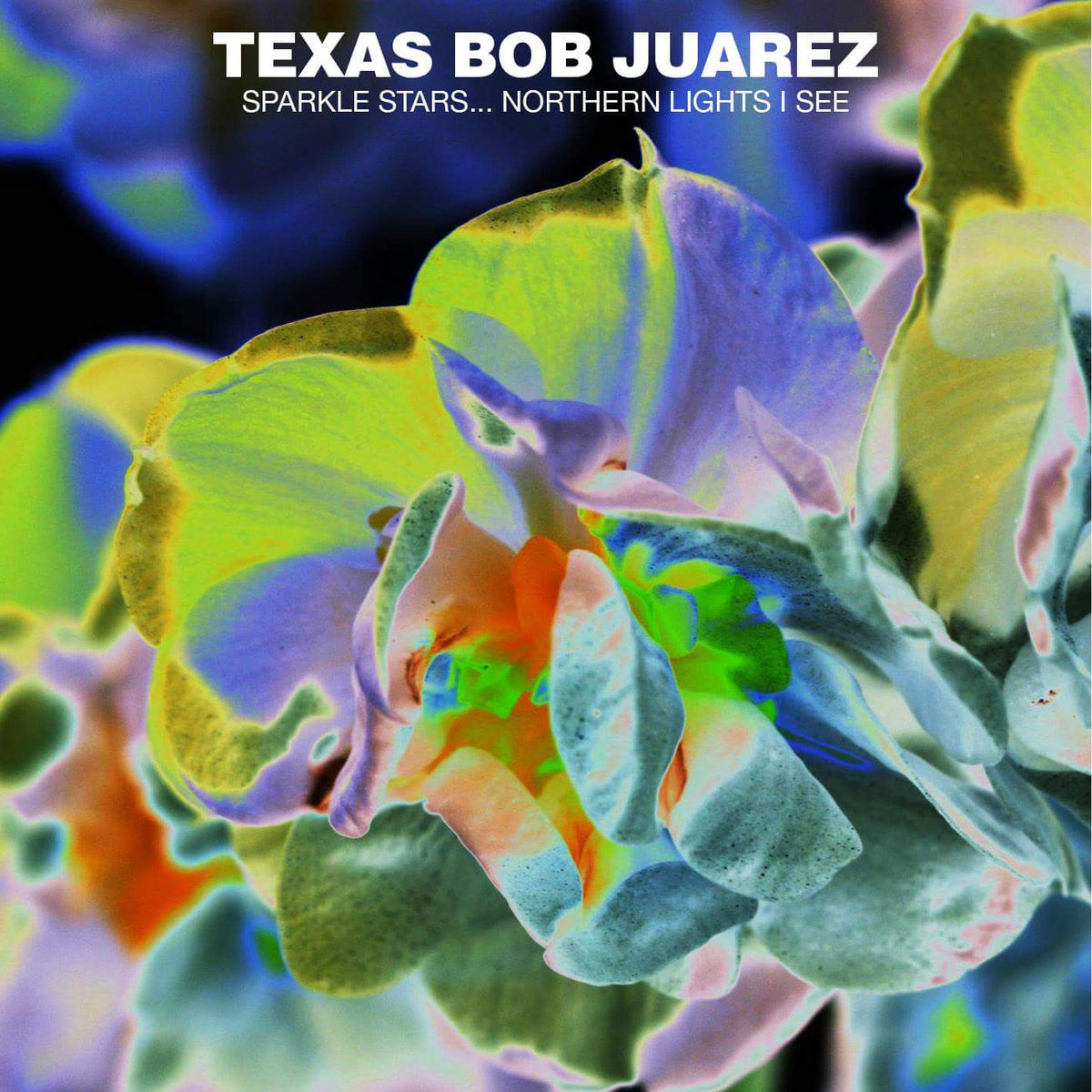 Casey's poetic gaze at the aurora