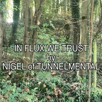 In Flux We Trust by nigel cover art
