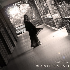 Wandermind cover