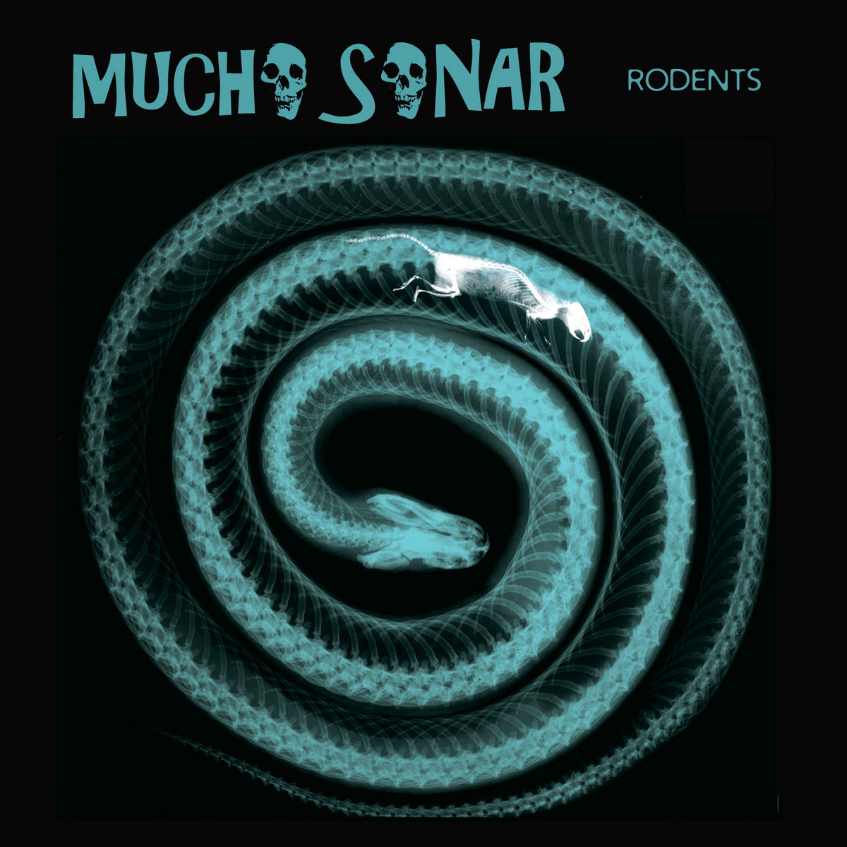 Image result for mucho sonar rodents