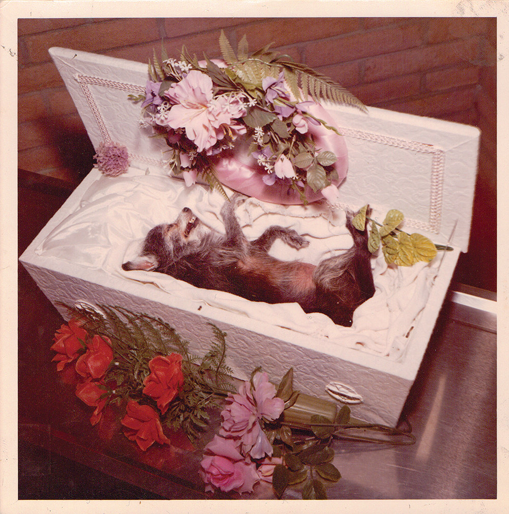 The Purple Church by The Purple Church