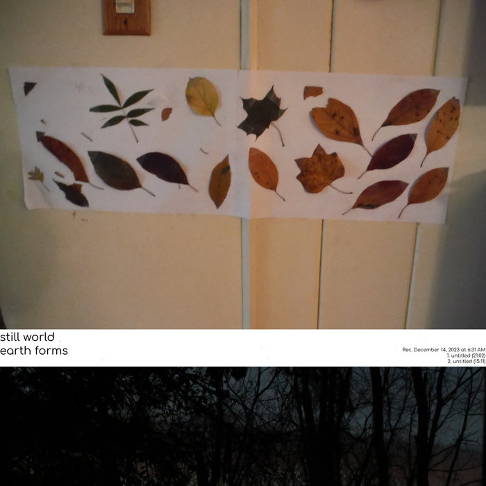 earth forms | still world | new home