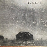 foxglove - demo